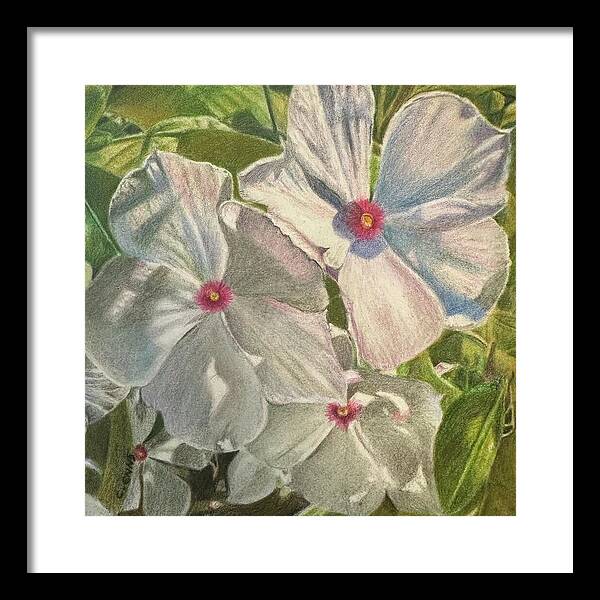Dance of Light in the Garden - Framed Print