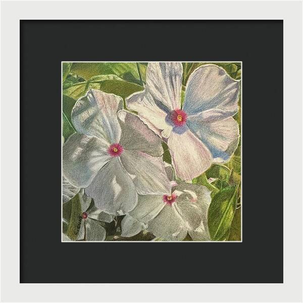 Dance of Light in the Garden - Framed Print