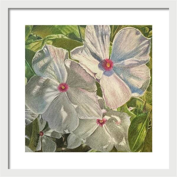 Dance of Light in the Garden - Framed Print