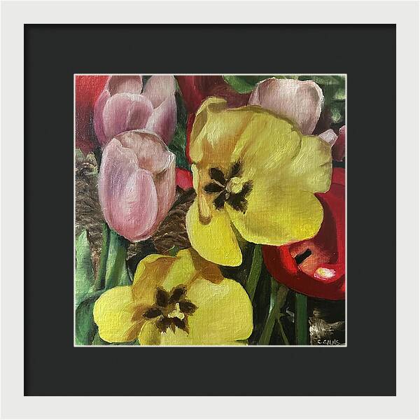 Emerging Tulips - Framed Print