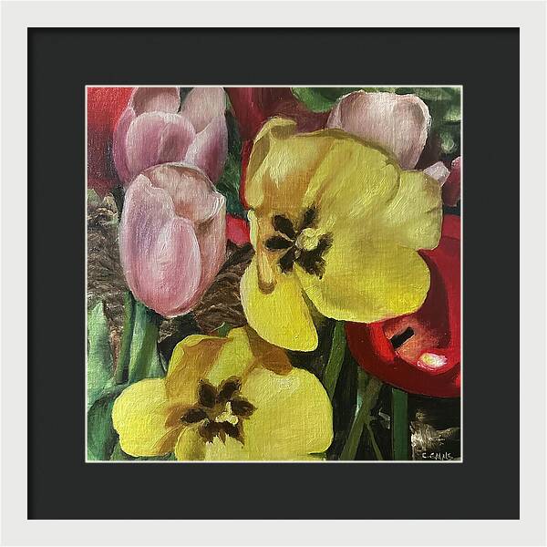 Emerging Tulips - Framed Print