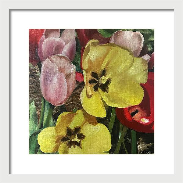 Emerging Tulips - Framed Print