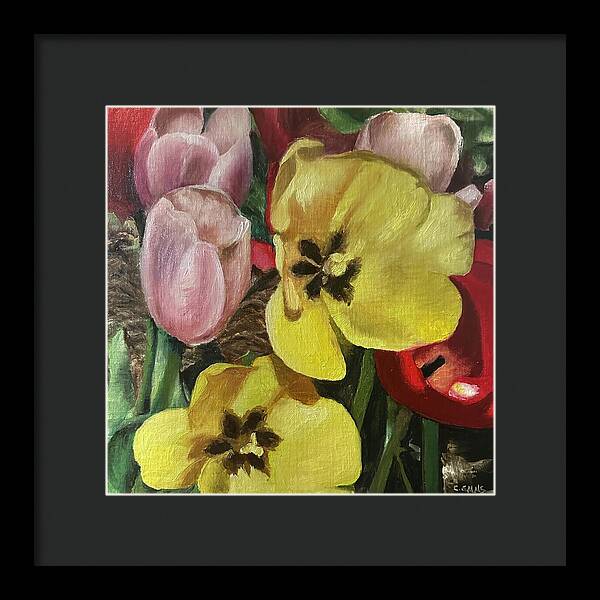 Emerging Tulips - Framed Print