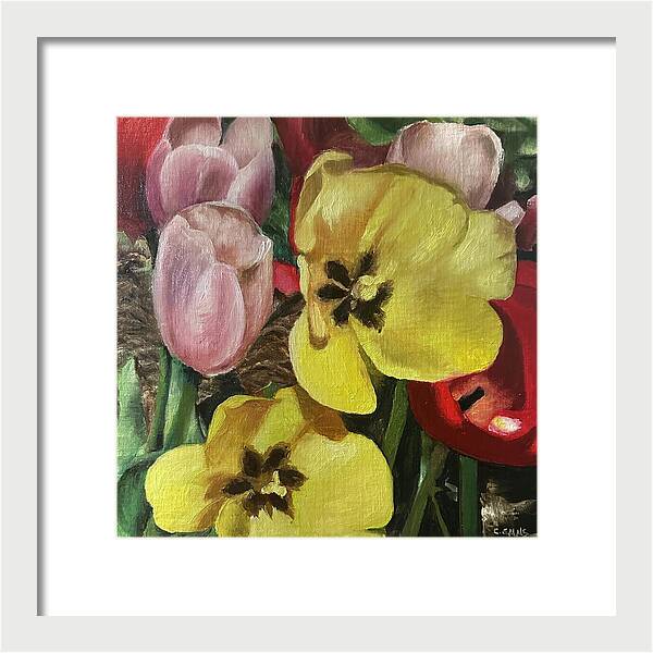 Emerging Tulips - Framed Print