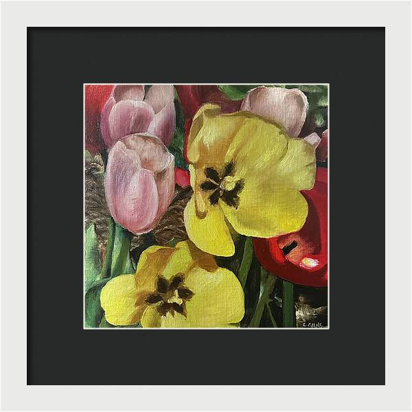 Emerging Tulips - Framed Print