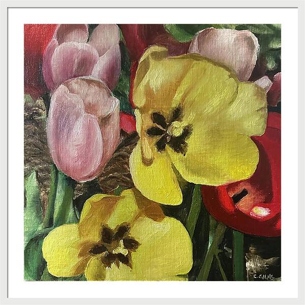 Emerging Tulips - Framed Print