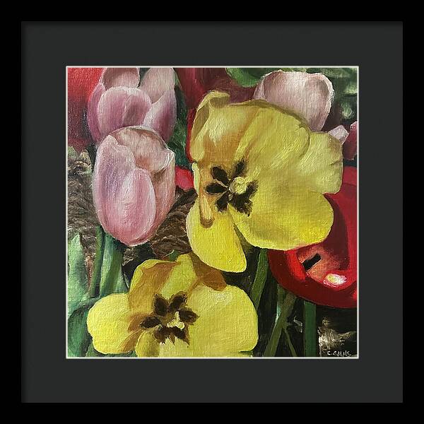 Emerging Tulips - Framed Print