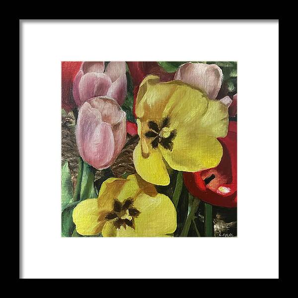 Emerging Tulips - Framed Print
