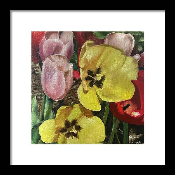 Emerging Tulips - Framed Print