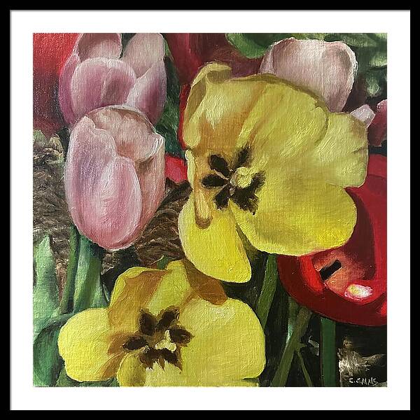 Emerging Tulips - Framed Print