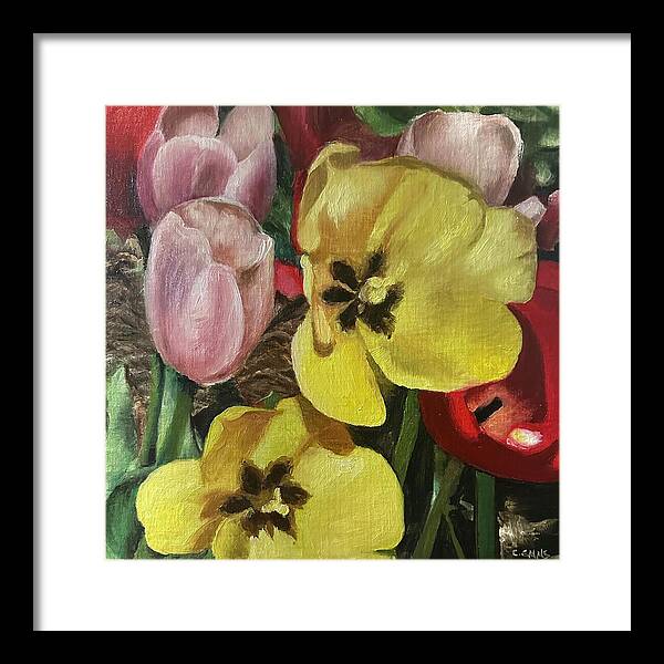 Emerging Tulips - Framed Print