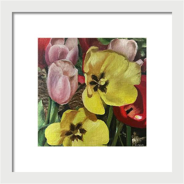 Emerging Tulips - Framed Print