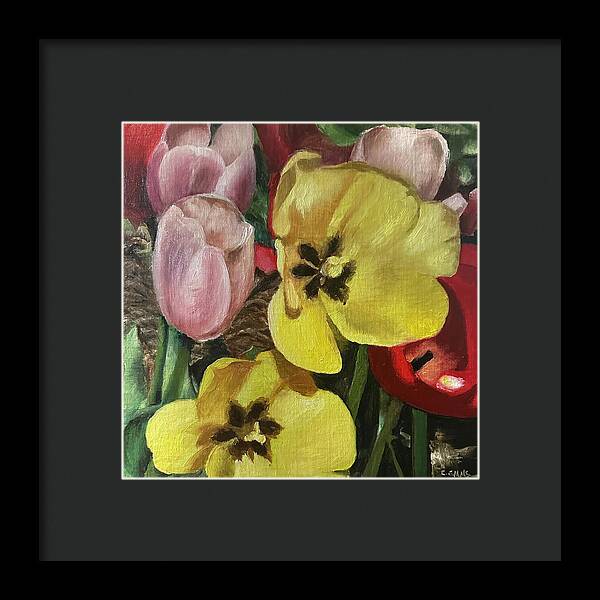 Emerging Tulips - Framed Print