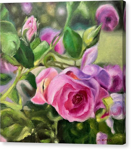 Hope Blooms Among Thorns - Canvas Print