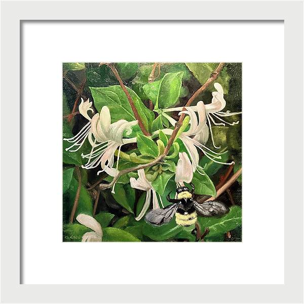 Summer of Bees No.2 - Framed Print