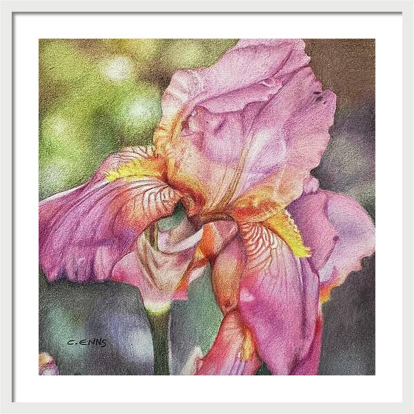 Delicate Strength - Framed Print