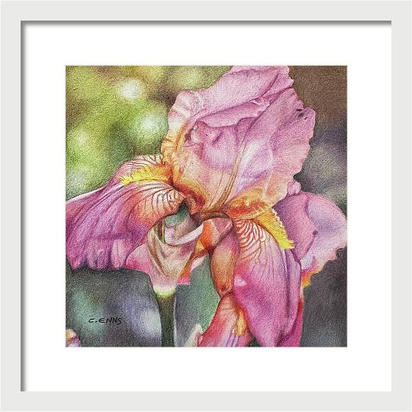 Delicate Strength - Framed Print