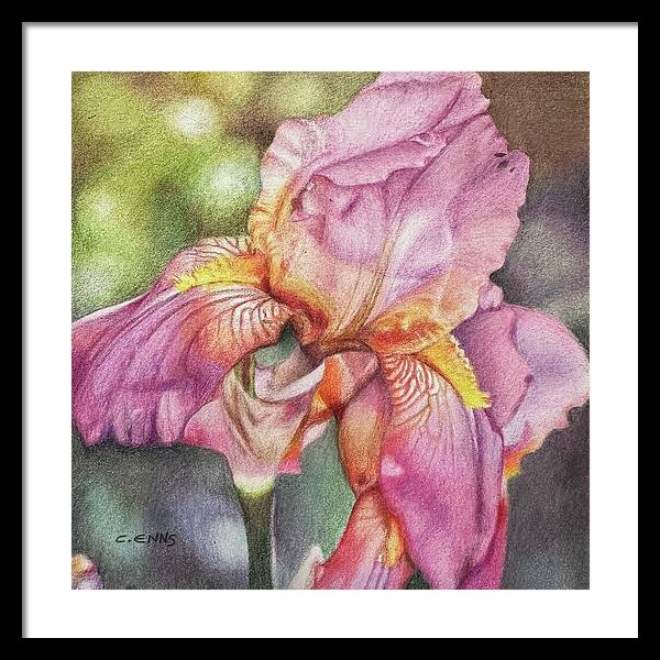 Delicate Strength - Framed Print