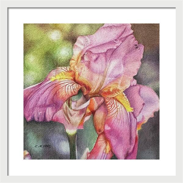 Delicate Strength - Framed Print