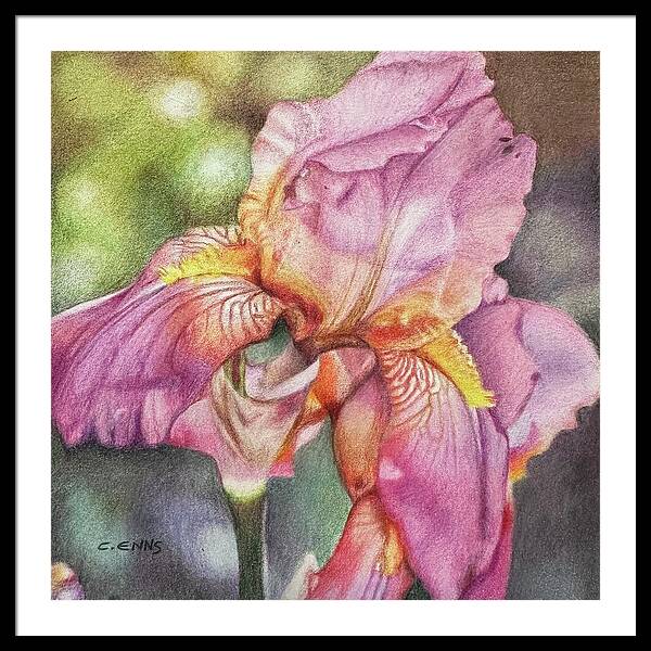 Delicate Strength - Framed Print