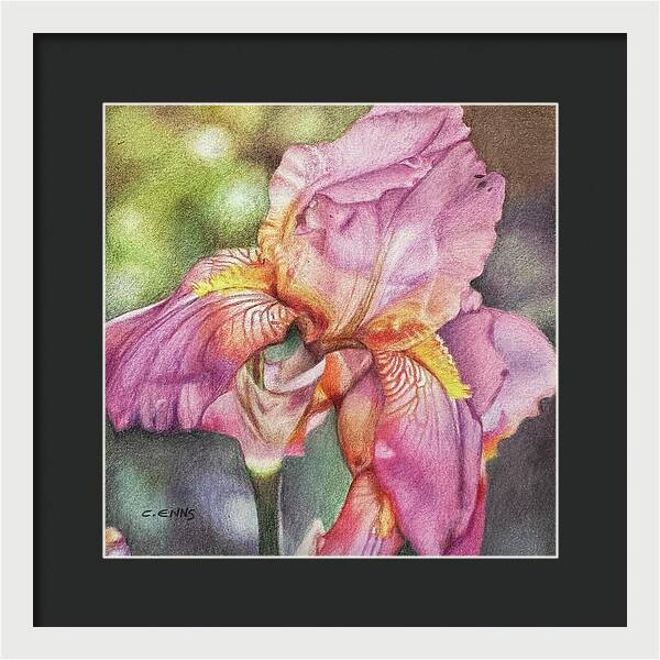 Delicate Strength - Framed Print