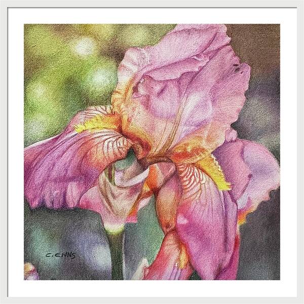 Delicate Strength - Framed Print