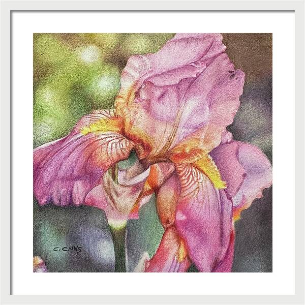 Delicate Strength - Framed Print