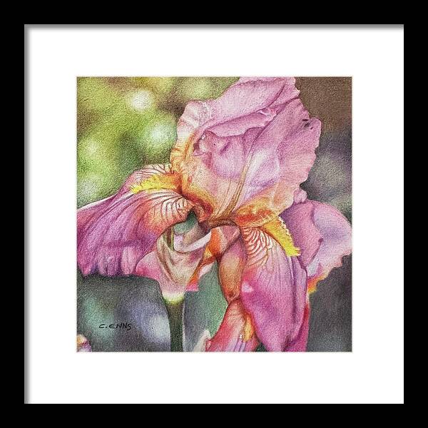 Delicate Strength - Framed Print