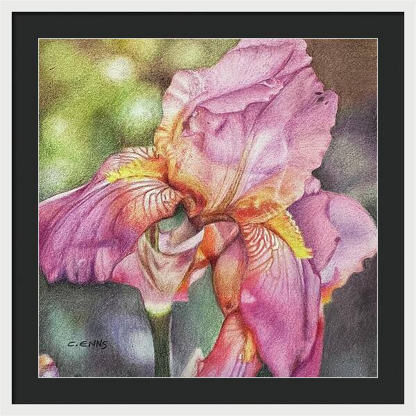 Delicate Strength - Framed Print