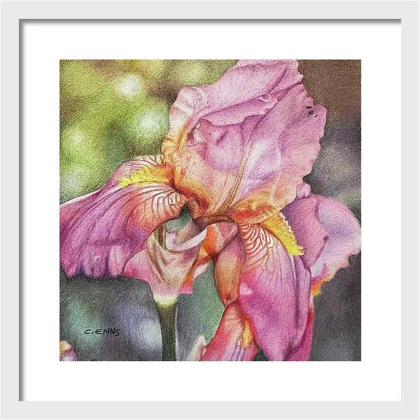 Delicate Strength - Framed Print