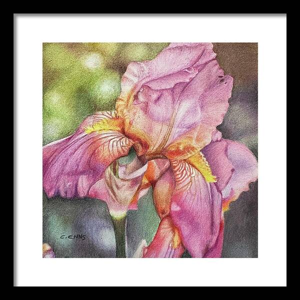 Delicate Strength - Framed Print