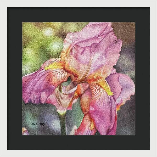Delicate Strength - Framed Print