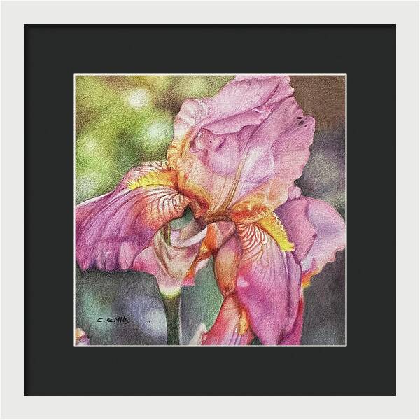 Delicate Strength - Framed Print
