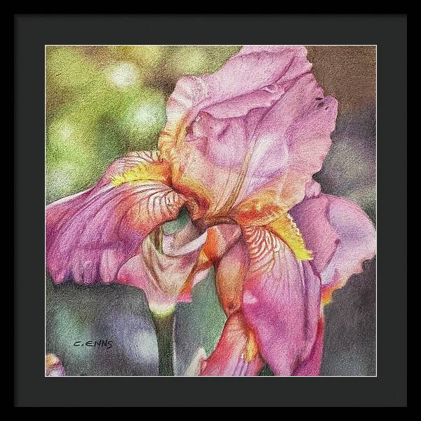 Delicate Strength - Framed Print