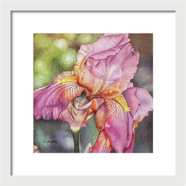 Delicate Strength - Framed Print