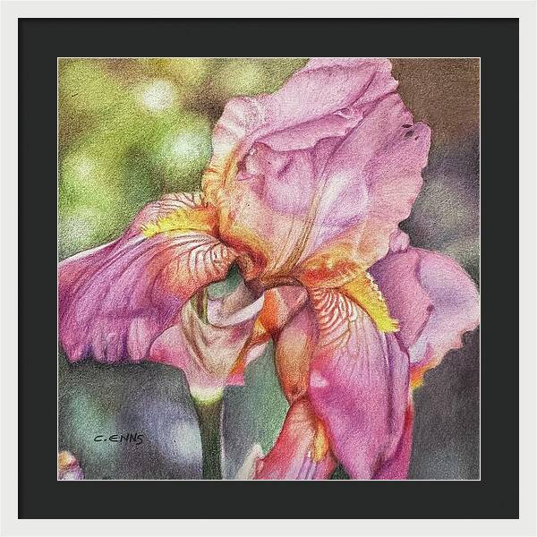 Delicate Strength - Framed Print