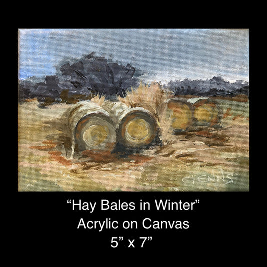 "Hay Bales in Winter"