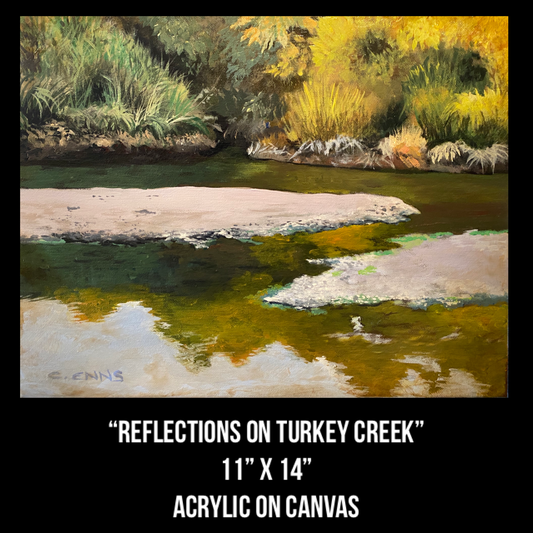 "Reflections on Turkey Creek"